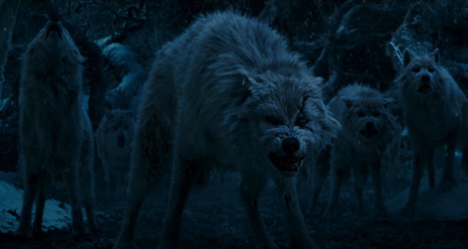 body and muscle shapes and jiggle