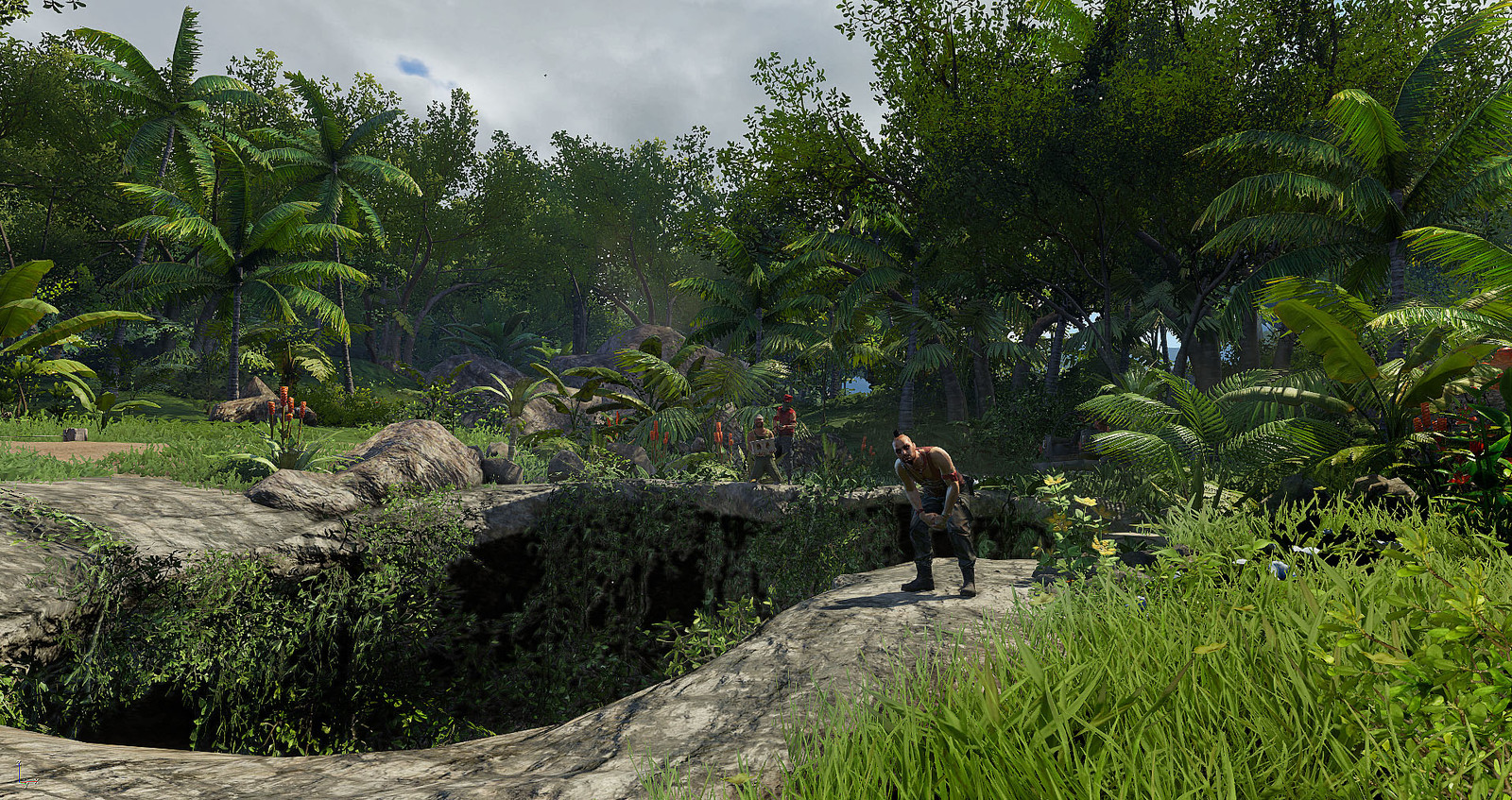 Картинки far cry 3 на рабочий стол