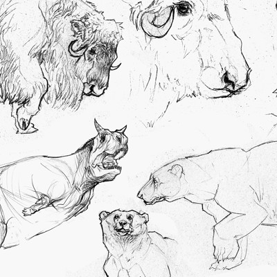 Cameron clow museum drawings part two