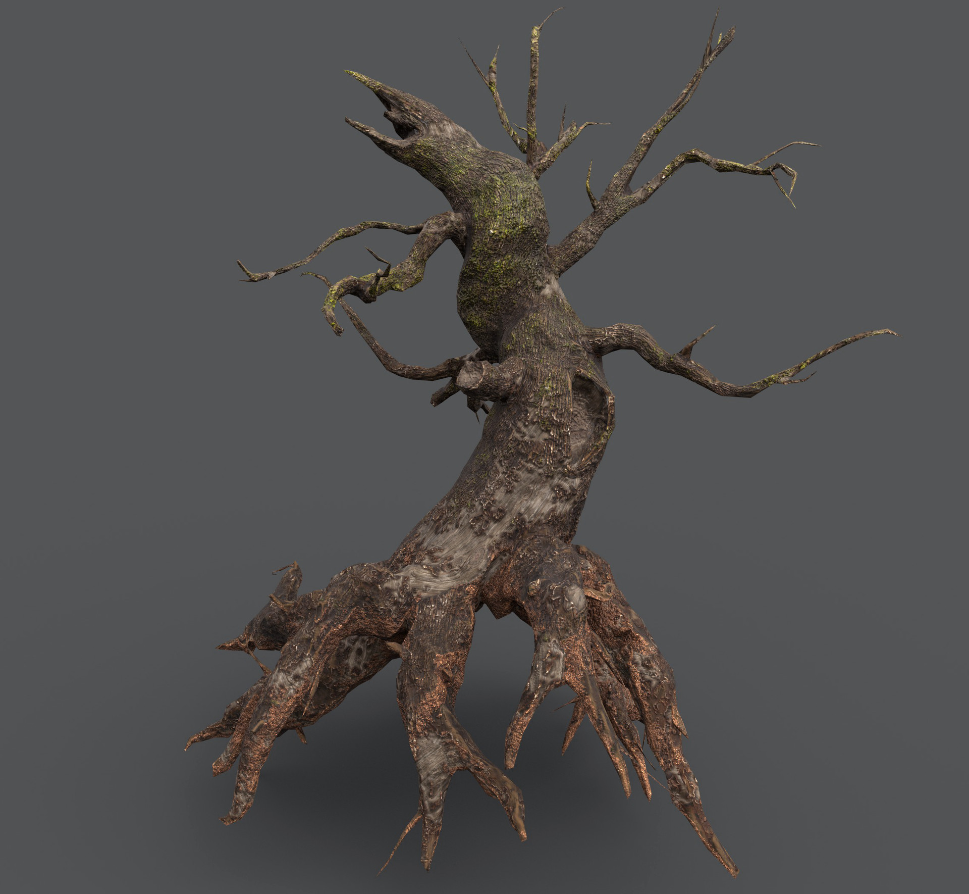 Evgeniy Chysty Dead tree