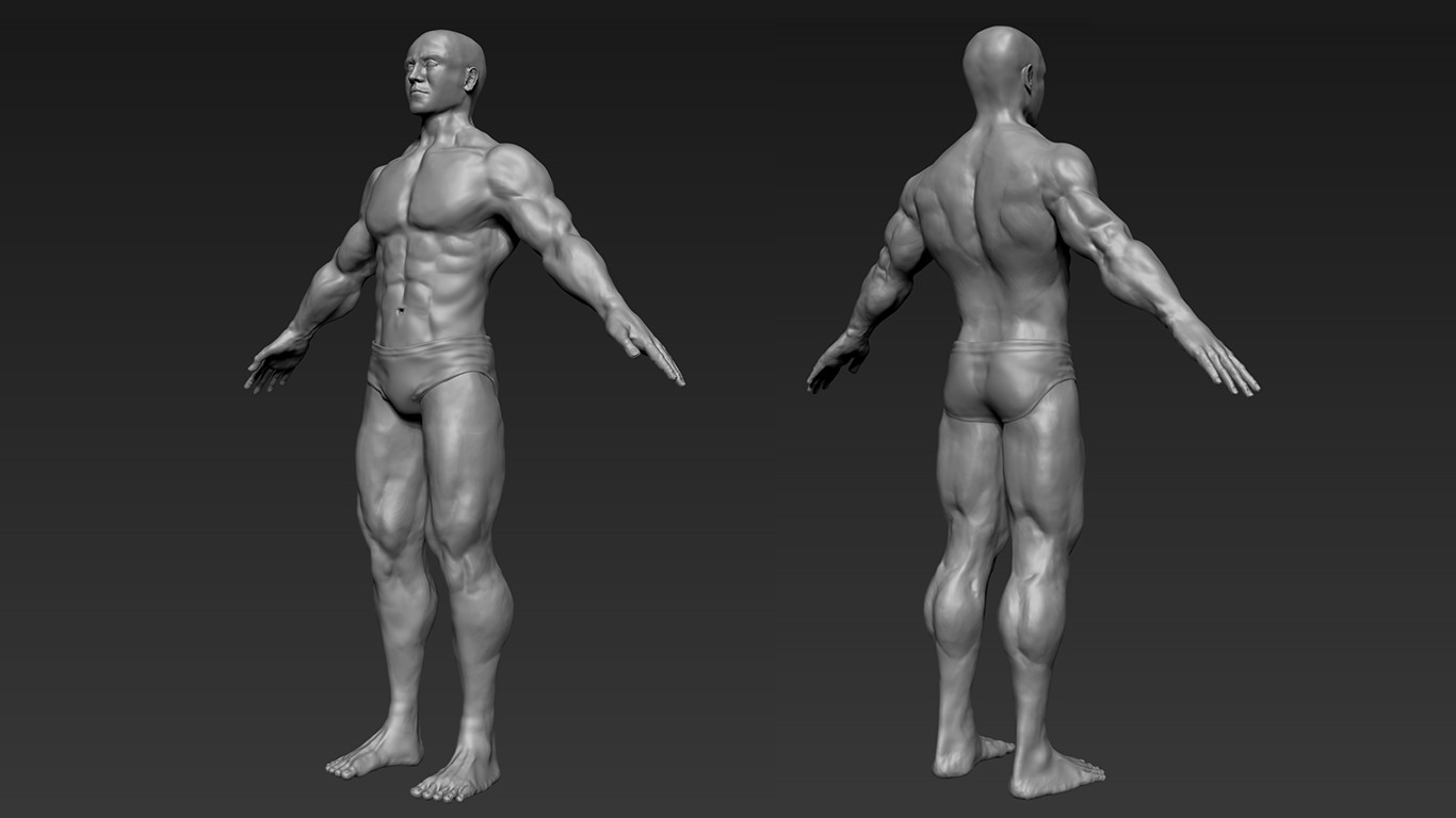 Ajwad Halil - Muscular Male Sculpt