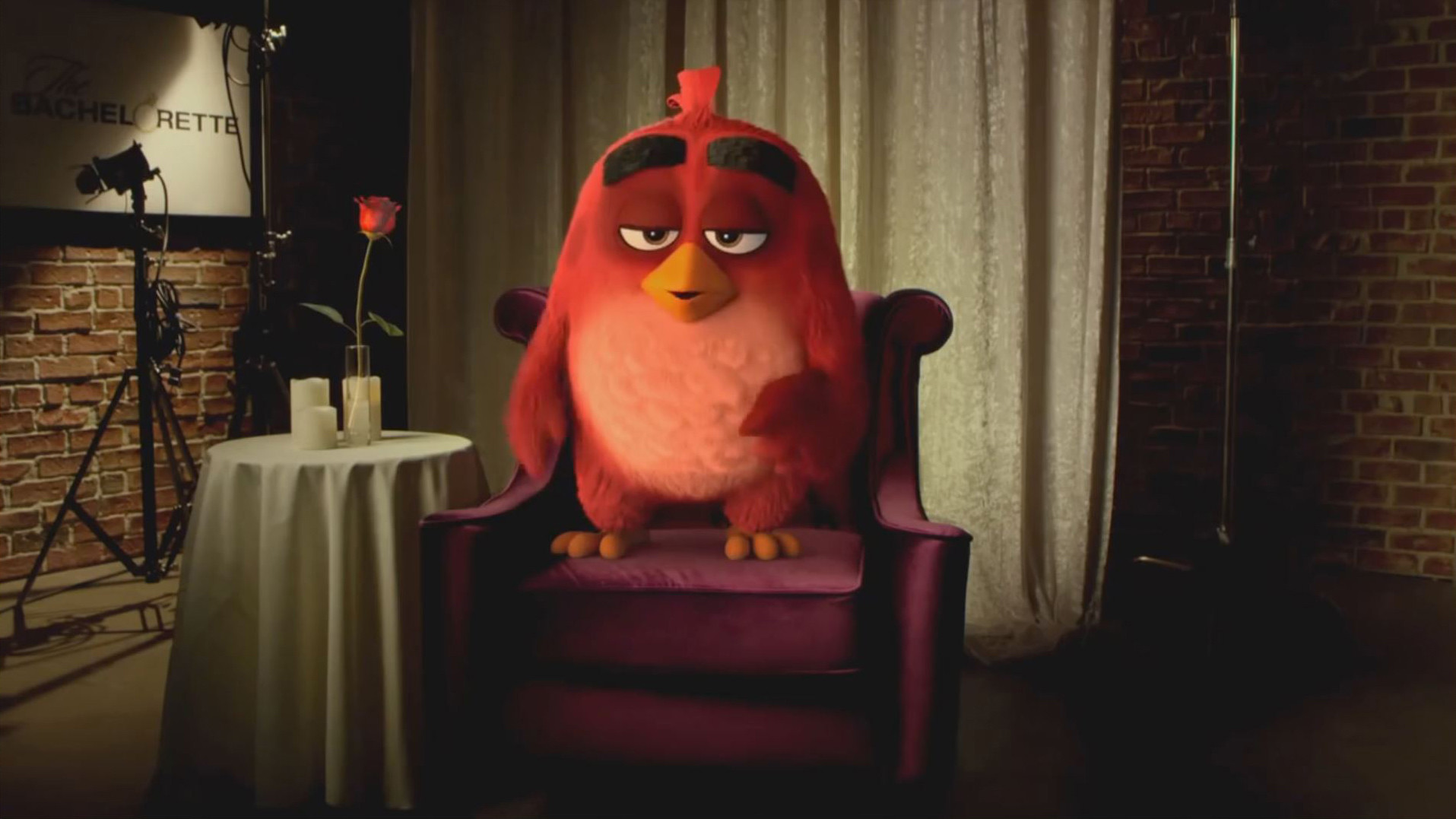 Christopher Logan - Bachelorette Angry Birds Promo