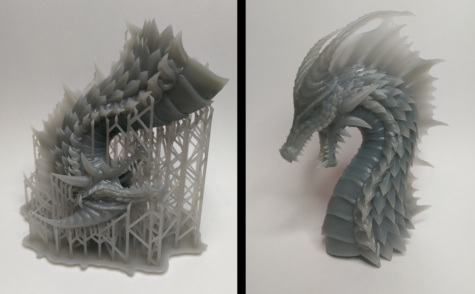 Artstation Dragon Bust 3d Print James Dorrington