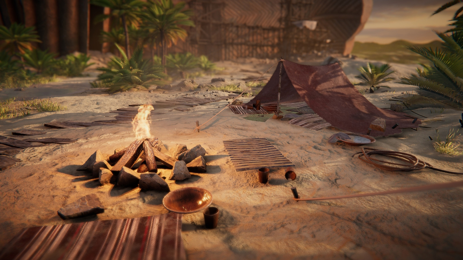 Campsite closeup