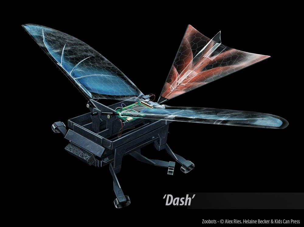 Dash was built to explore wing assisted locomotion in cockroaches