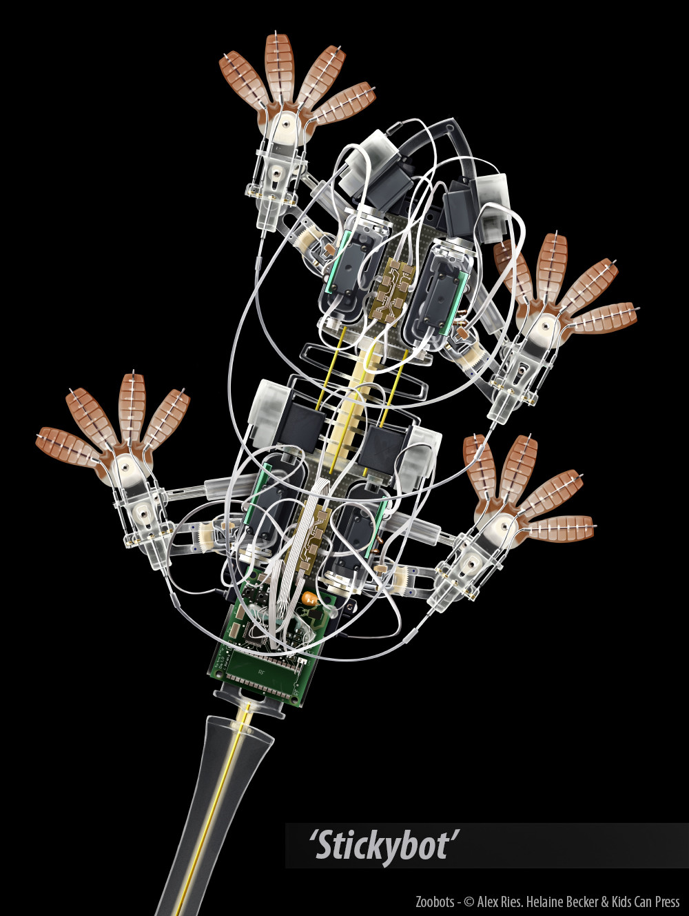 Stickybot uses gecko-inspired foot pads to adhere to glass without suction or glues