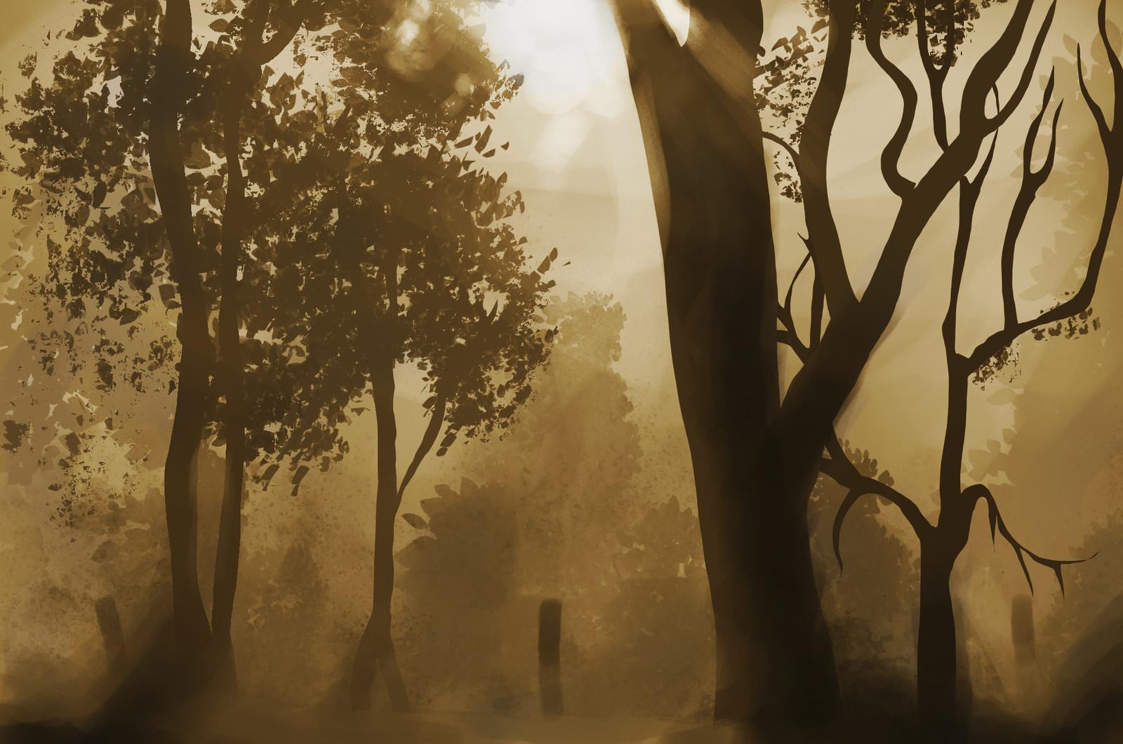Forest Light