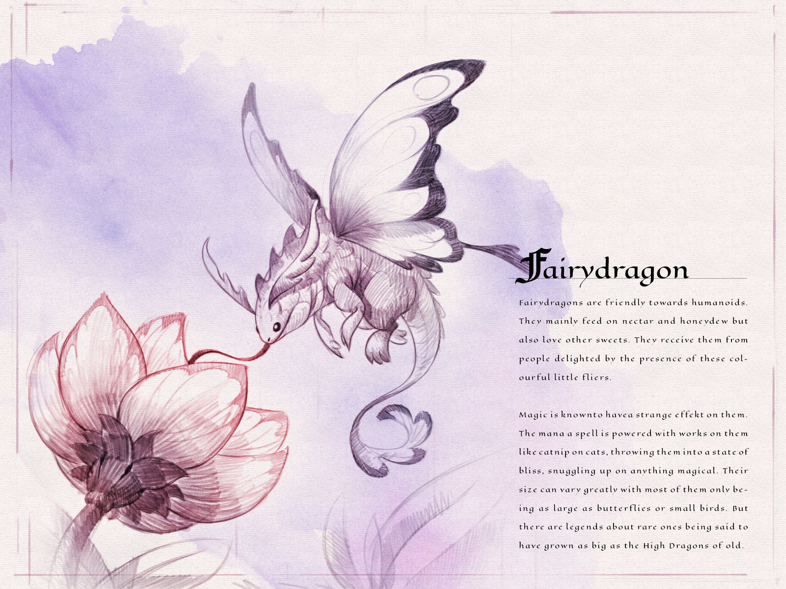 Page one of the  Dragon Compendium showing and describing the Fairydragon