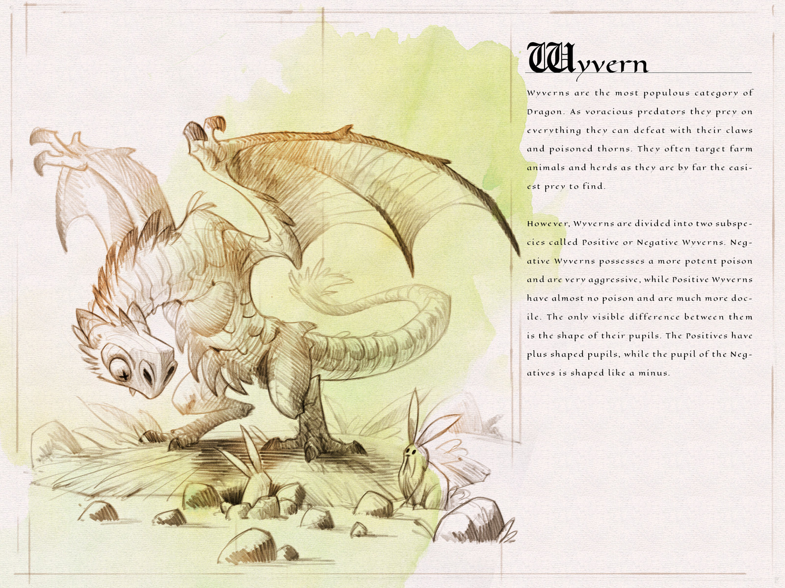 Page one of the  Dragon Compendium showing and describing the Wyvern