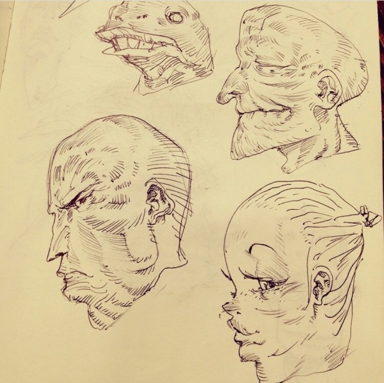 Various head sketches.