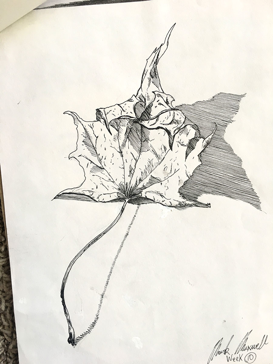 8" x 10" sketchbook study of a leaf.