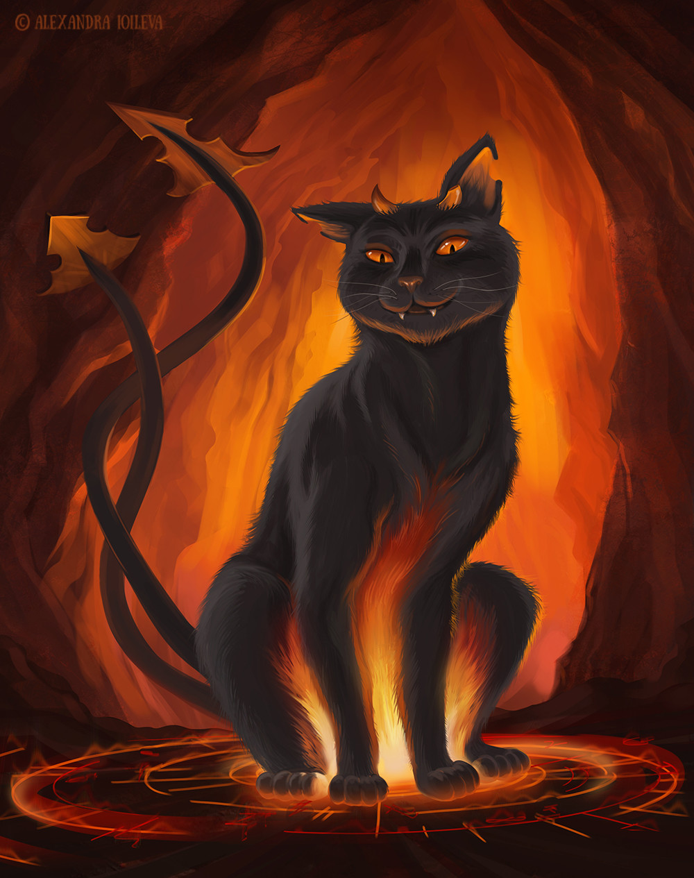 Cat outlet from hell