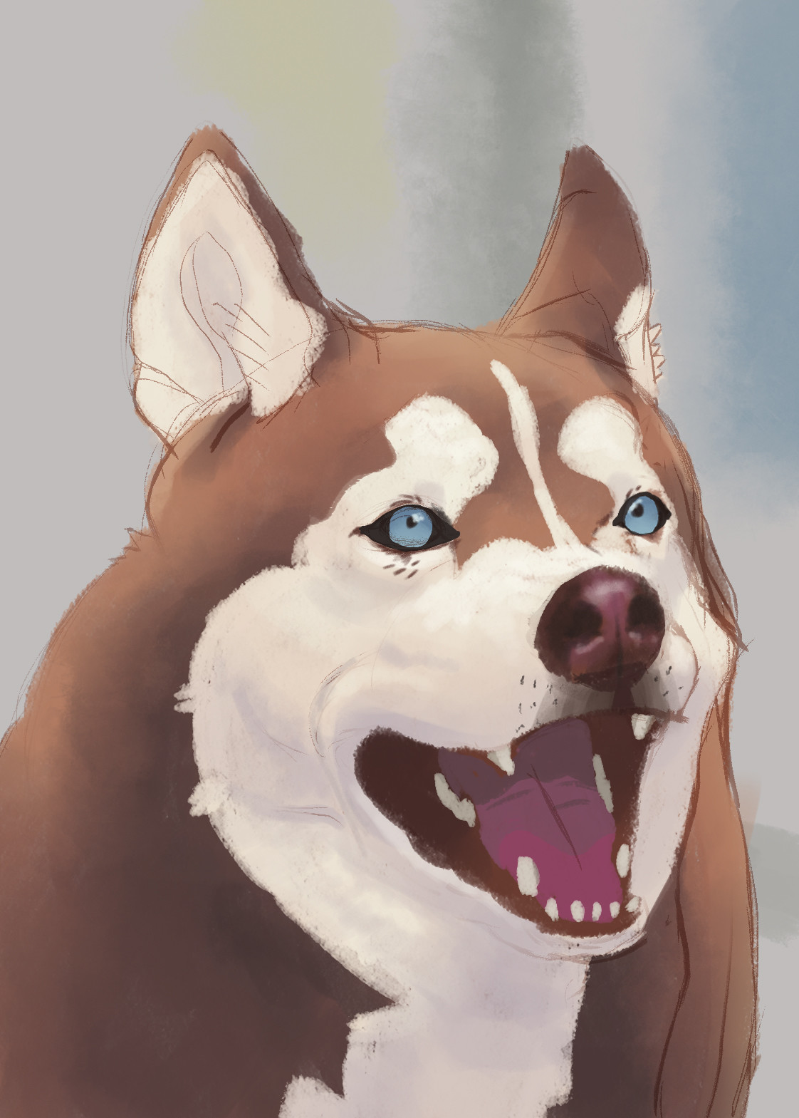 Happy Husky