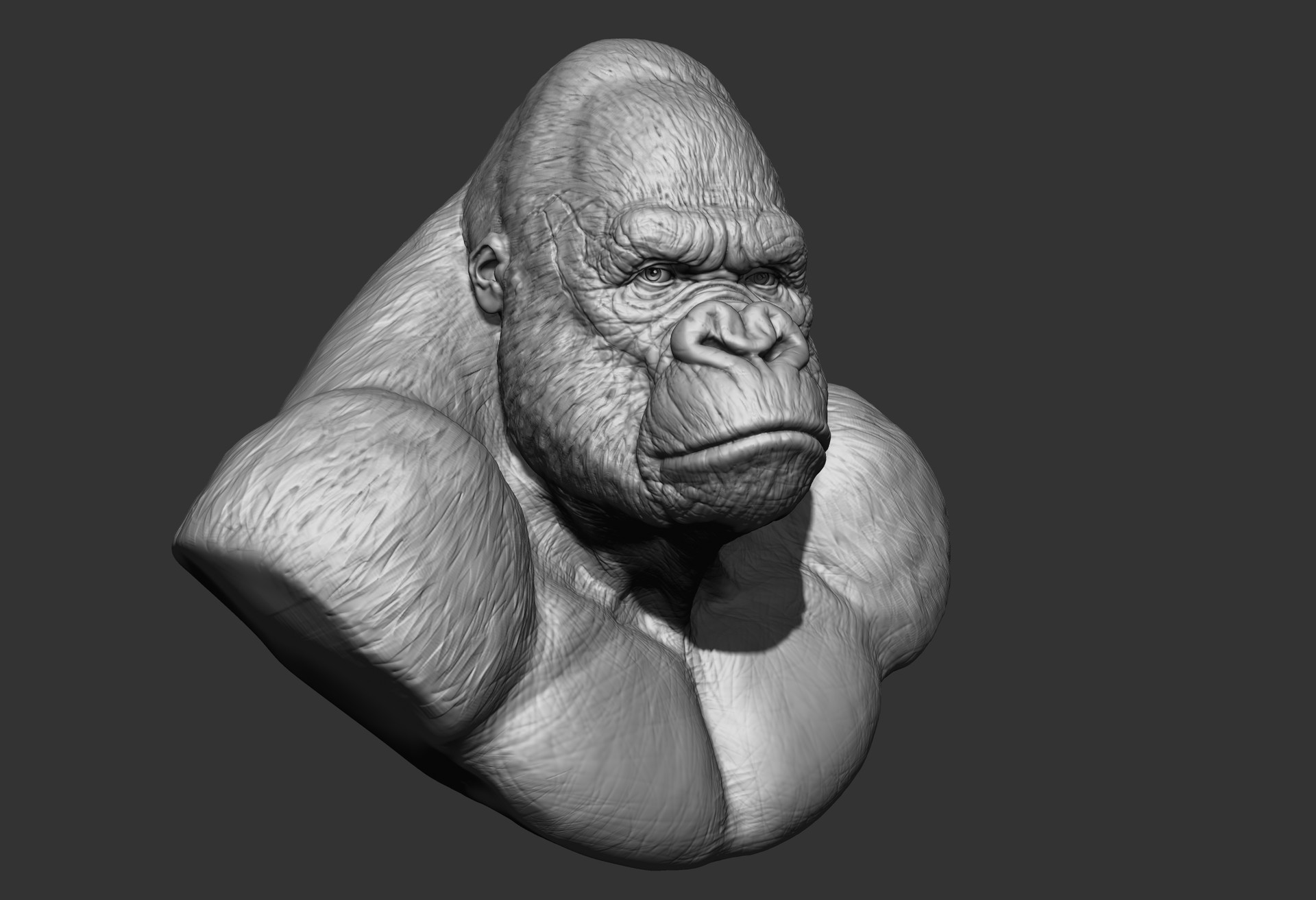 Vince Niebla - King Kong bust v1