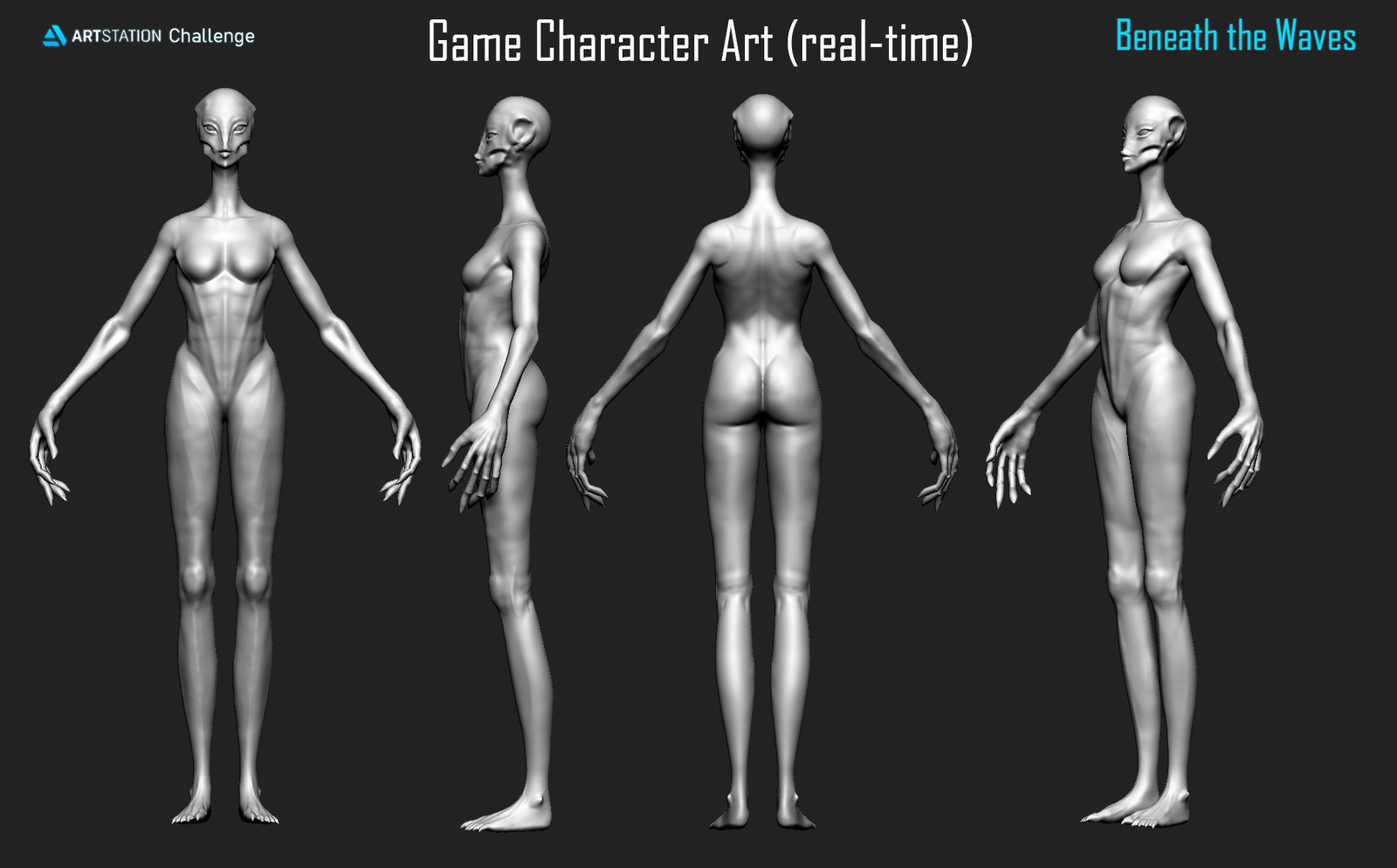 anatomy of sea lady 