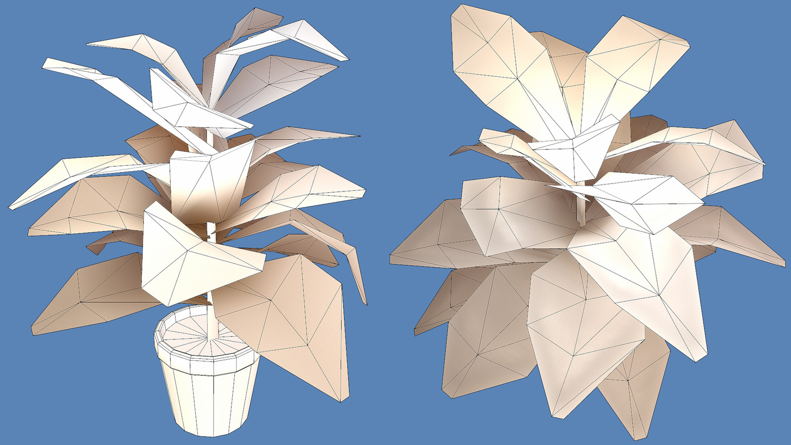 Croton Plant - Wires
520 Tris