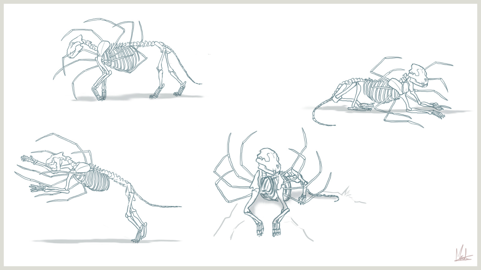 Sheet 3 - bones