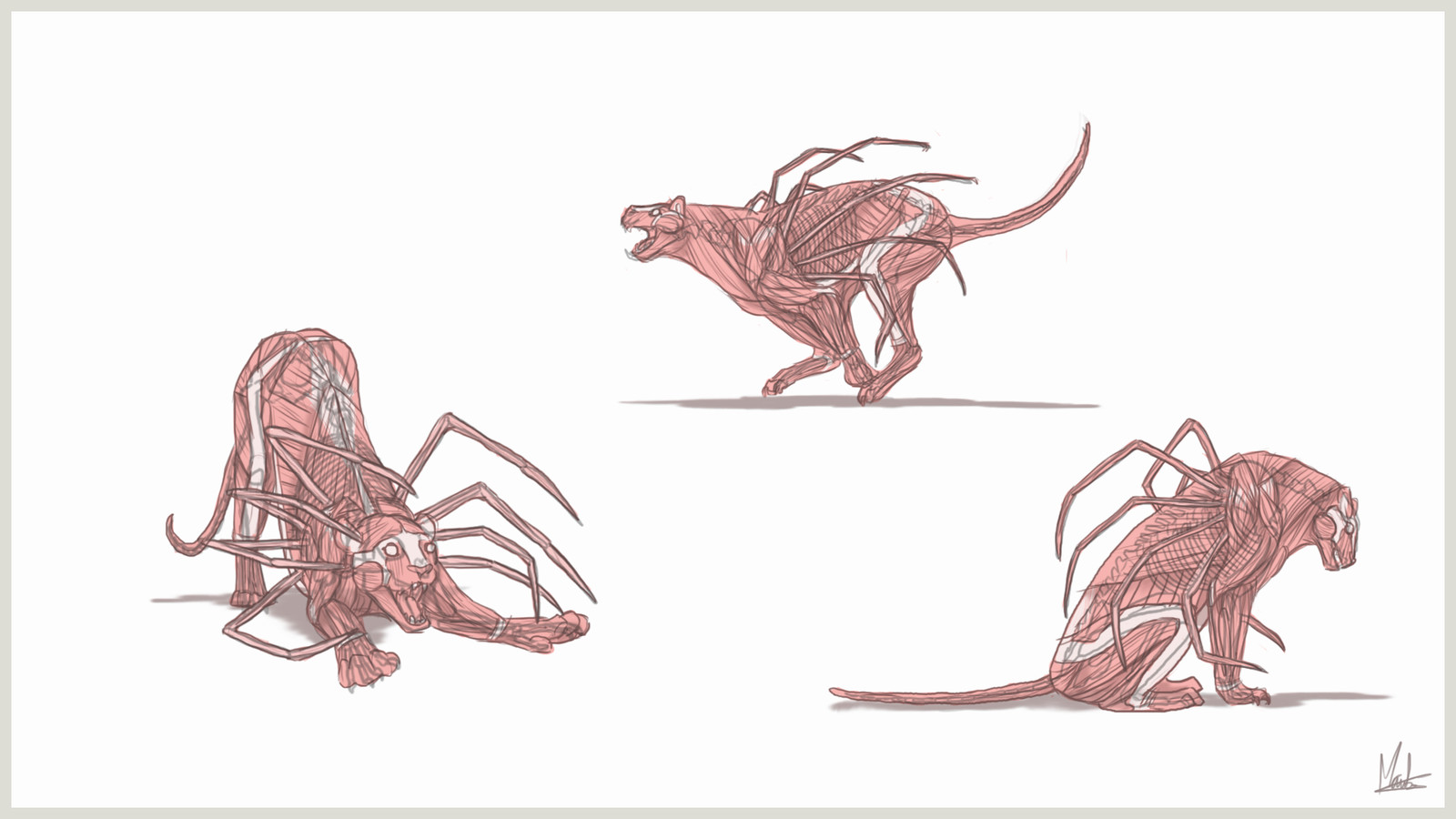 Sheet 6 - muscles