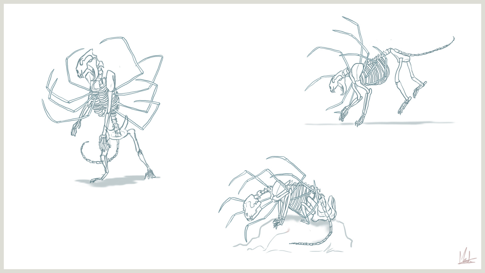 Sheet 1 - bones