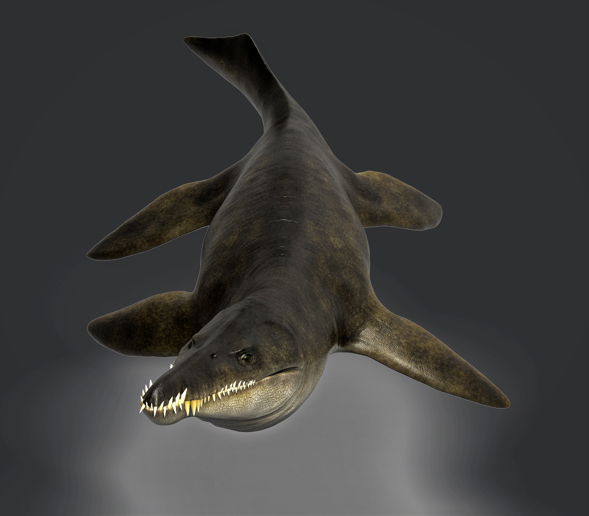 kronosaurus dinosaur simulator