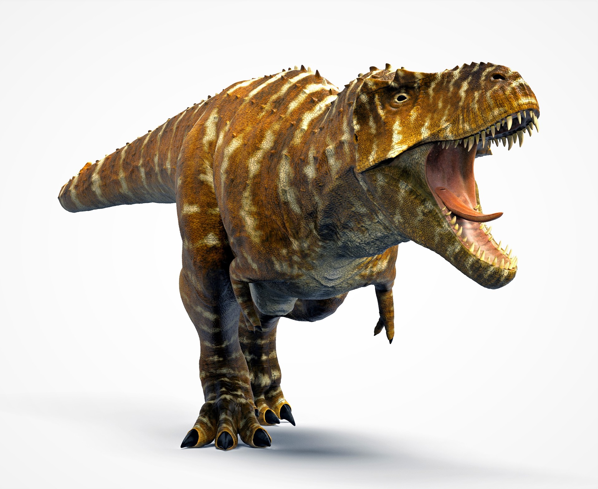 all tyrannosaurus
