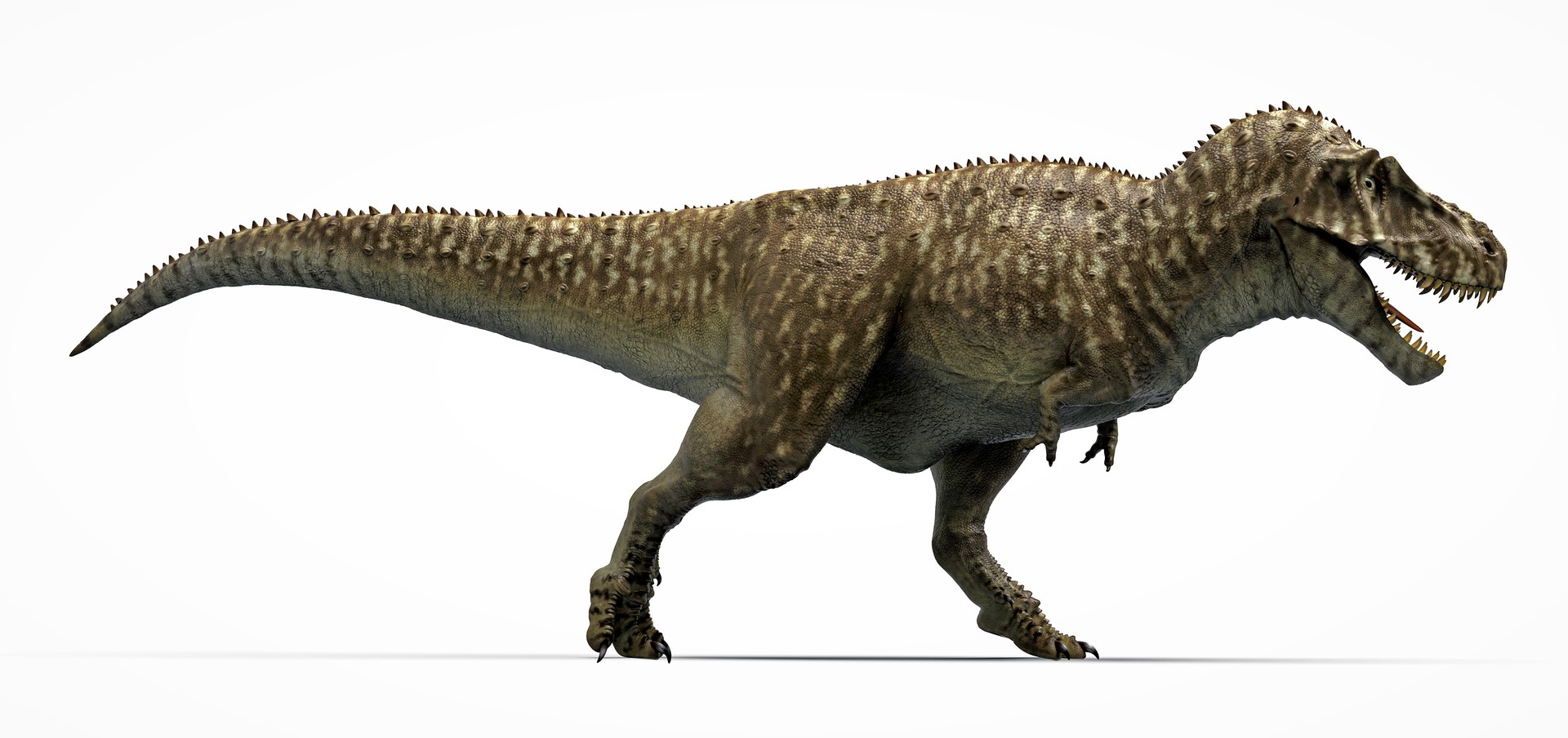 Тарбозавр меловой период