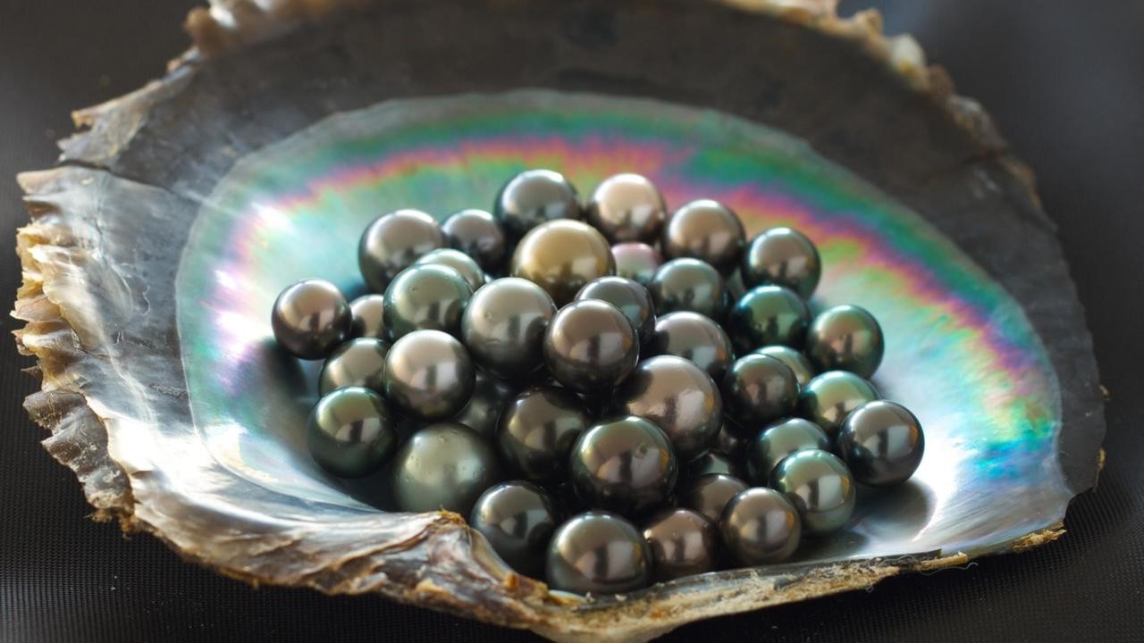 Perlas caribeña