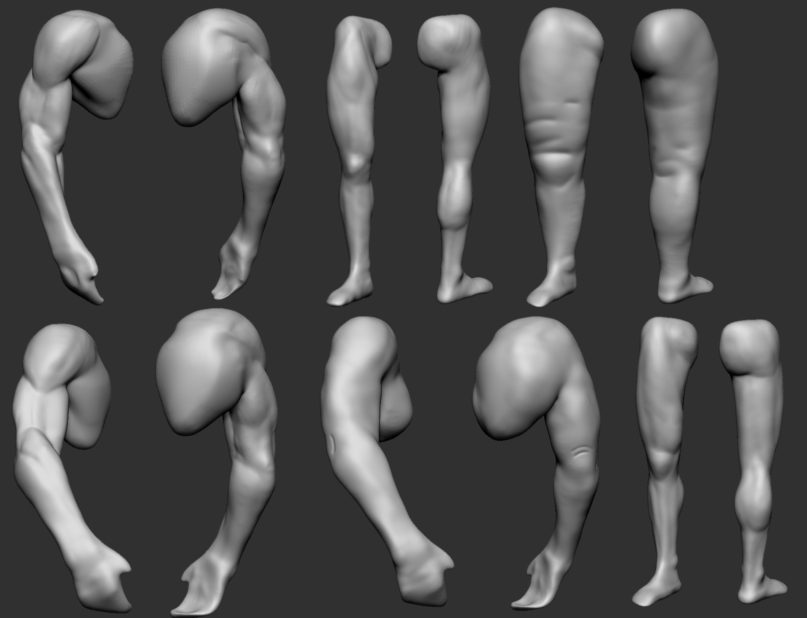 Week 2 Arm and Leg Anatomy Studies #2. (Done individually, but screenshots were too small to upload, combined for Artstation).