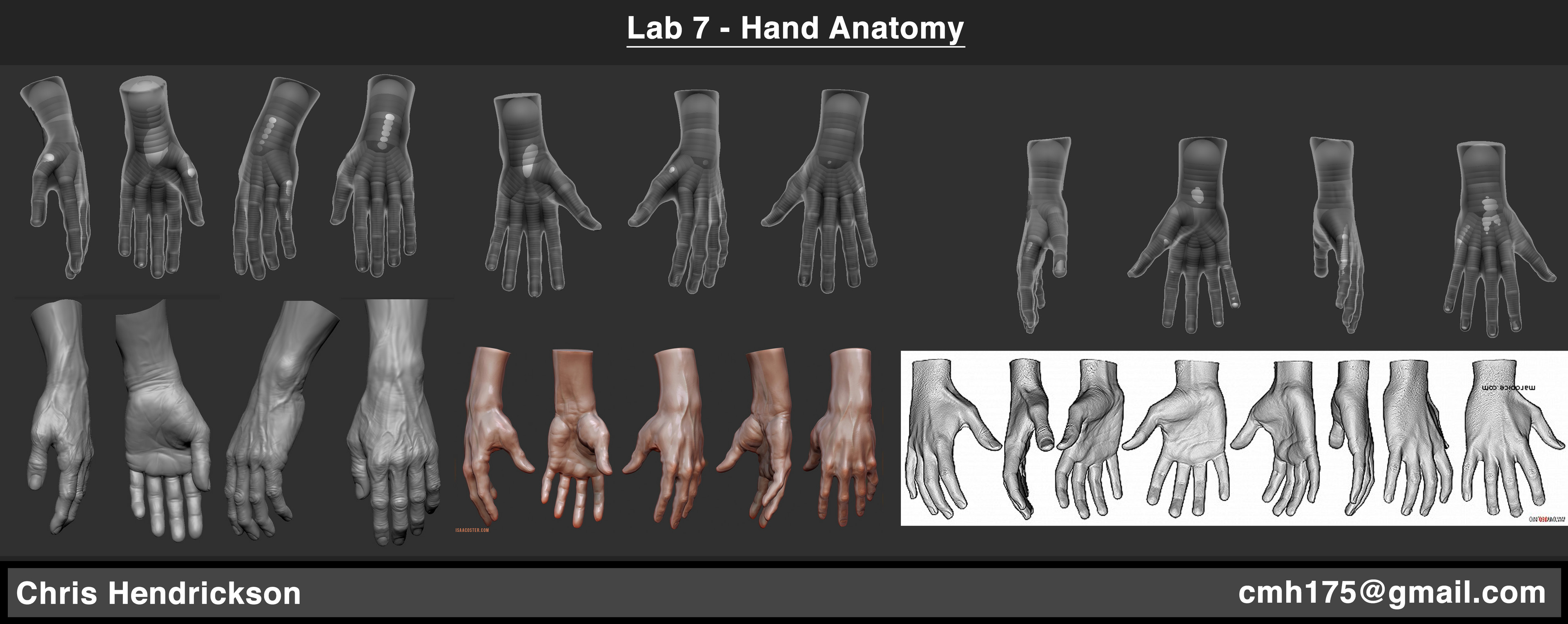 Week 3 Hand Anatomy Study (bottom row are references). Sculpted hands, with zSphere rigs included. 