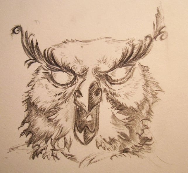 A fantastic rendering of the owl