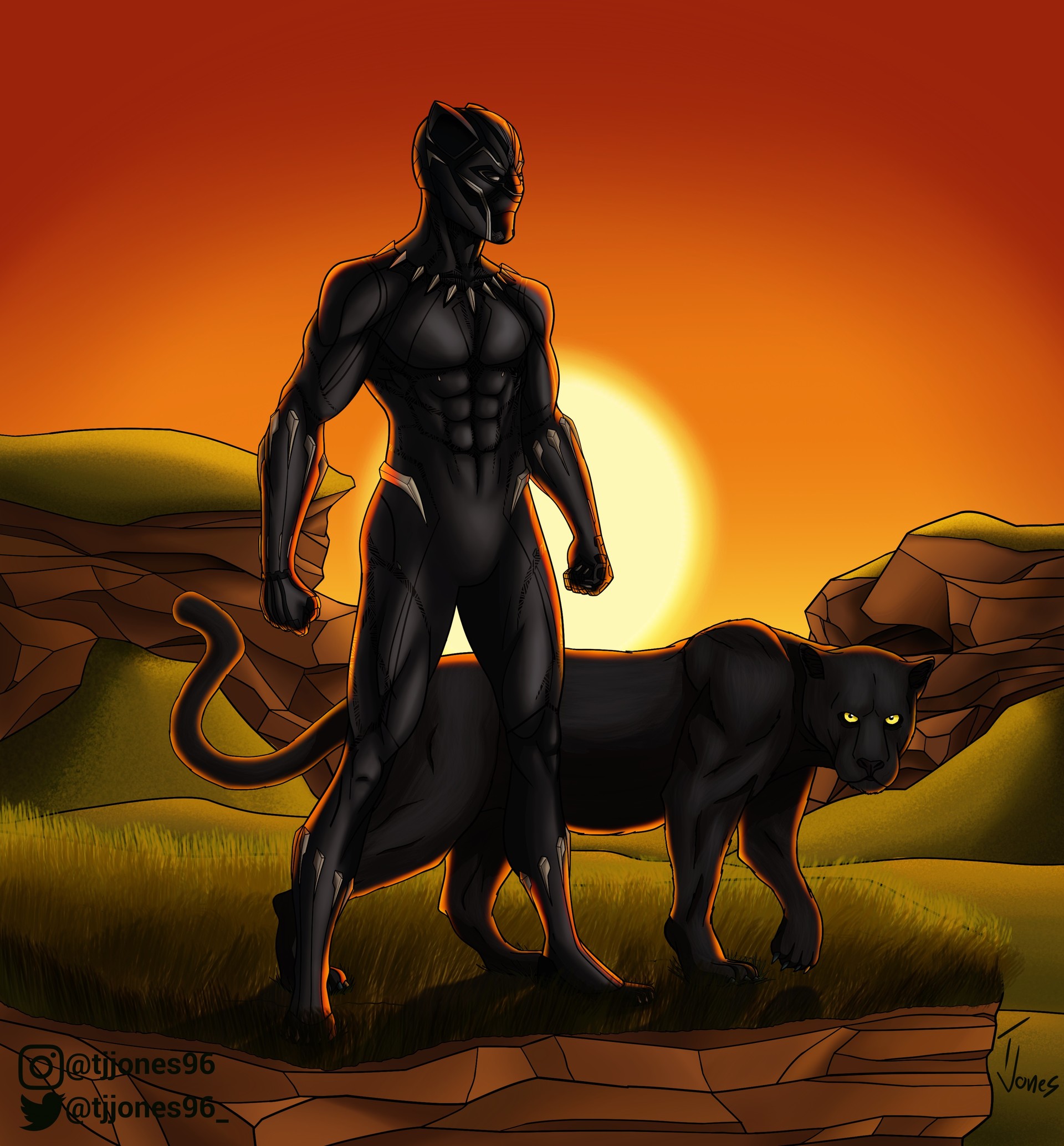 King T'challa The Black Panther.
