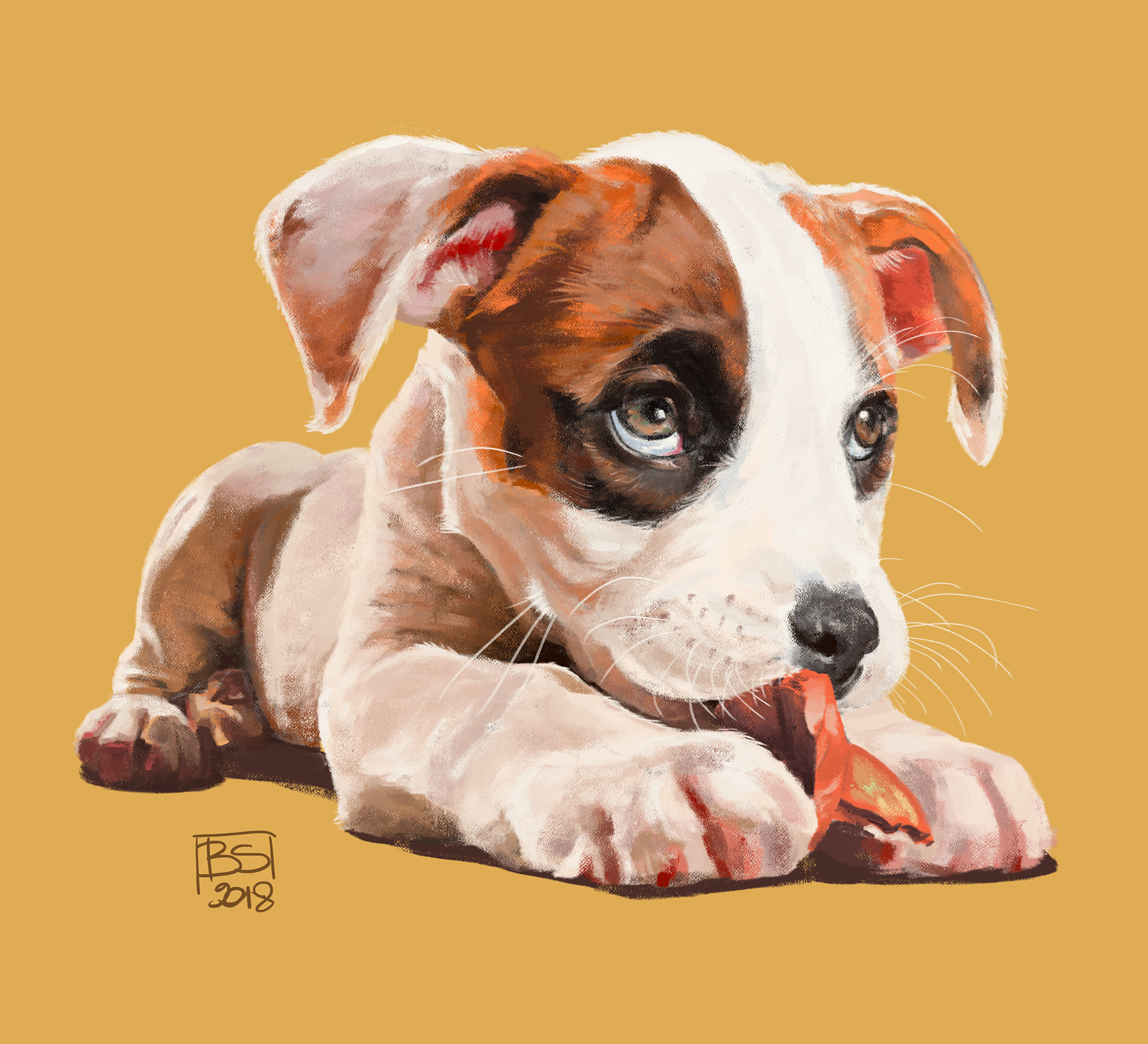 pet store next to me