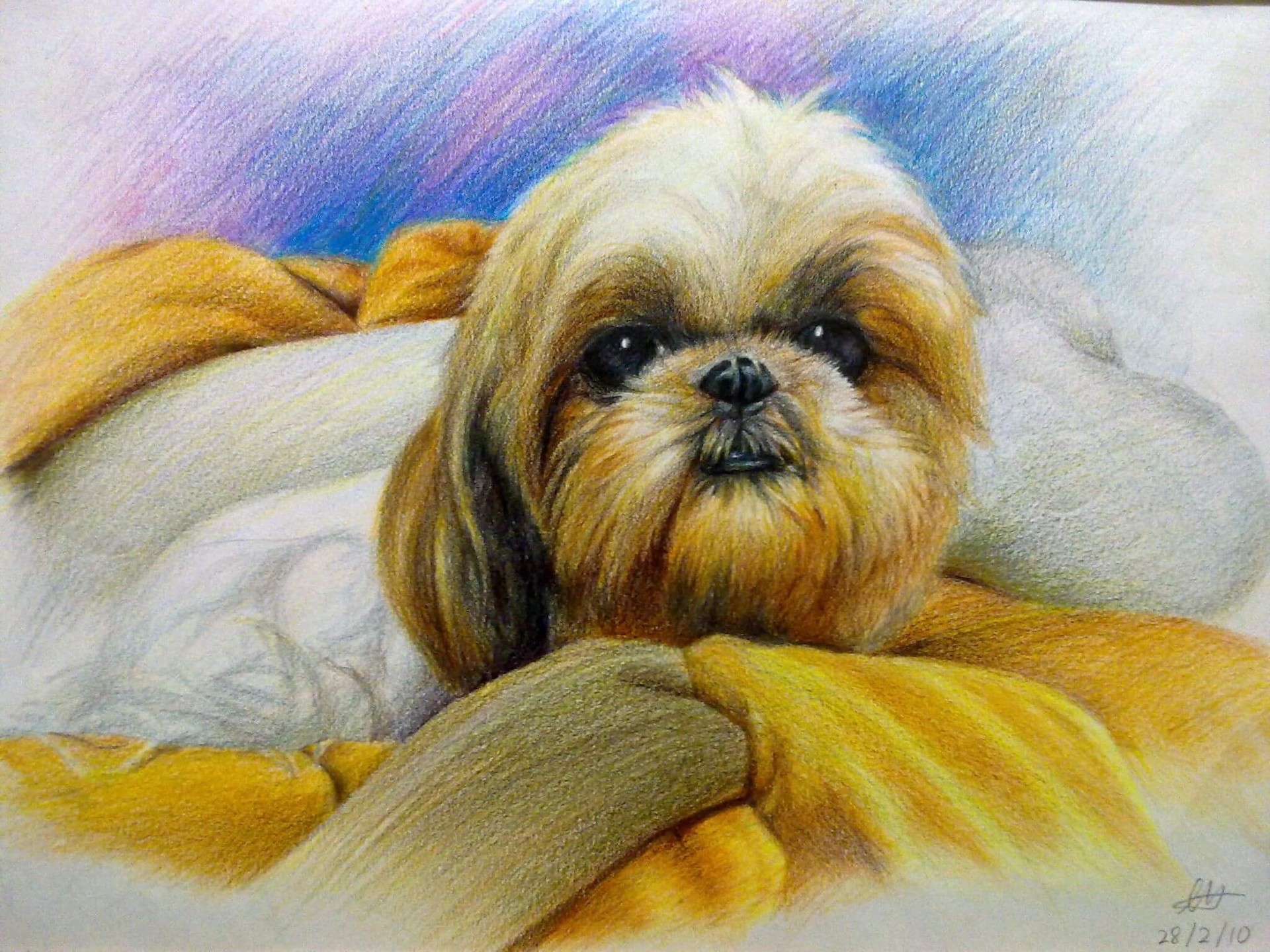 Artstation Shih Tzu Min En