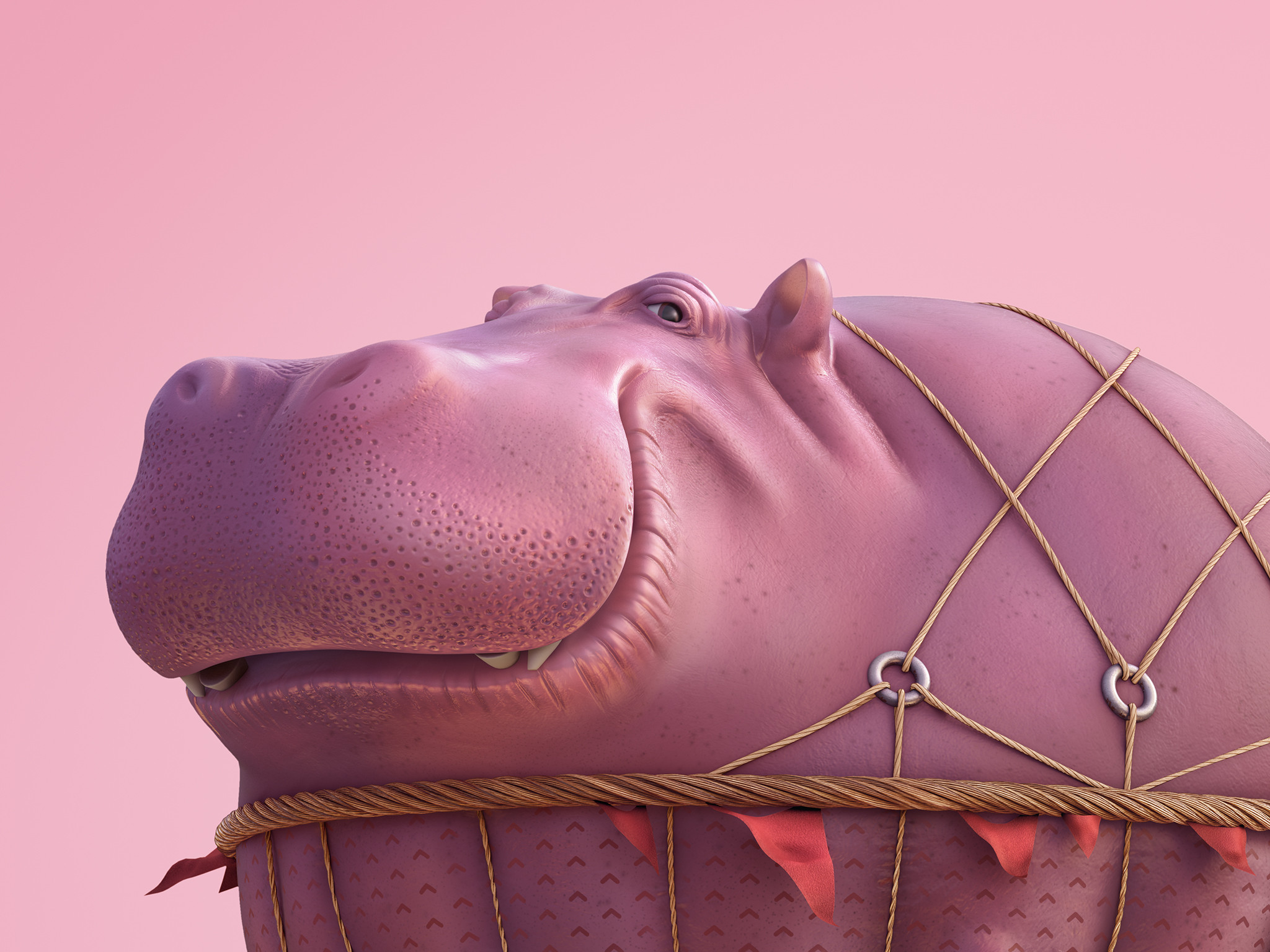 Hippo's details