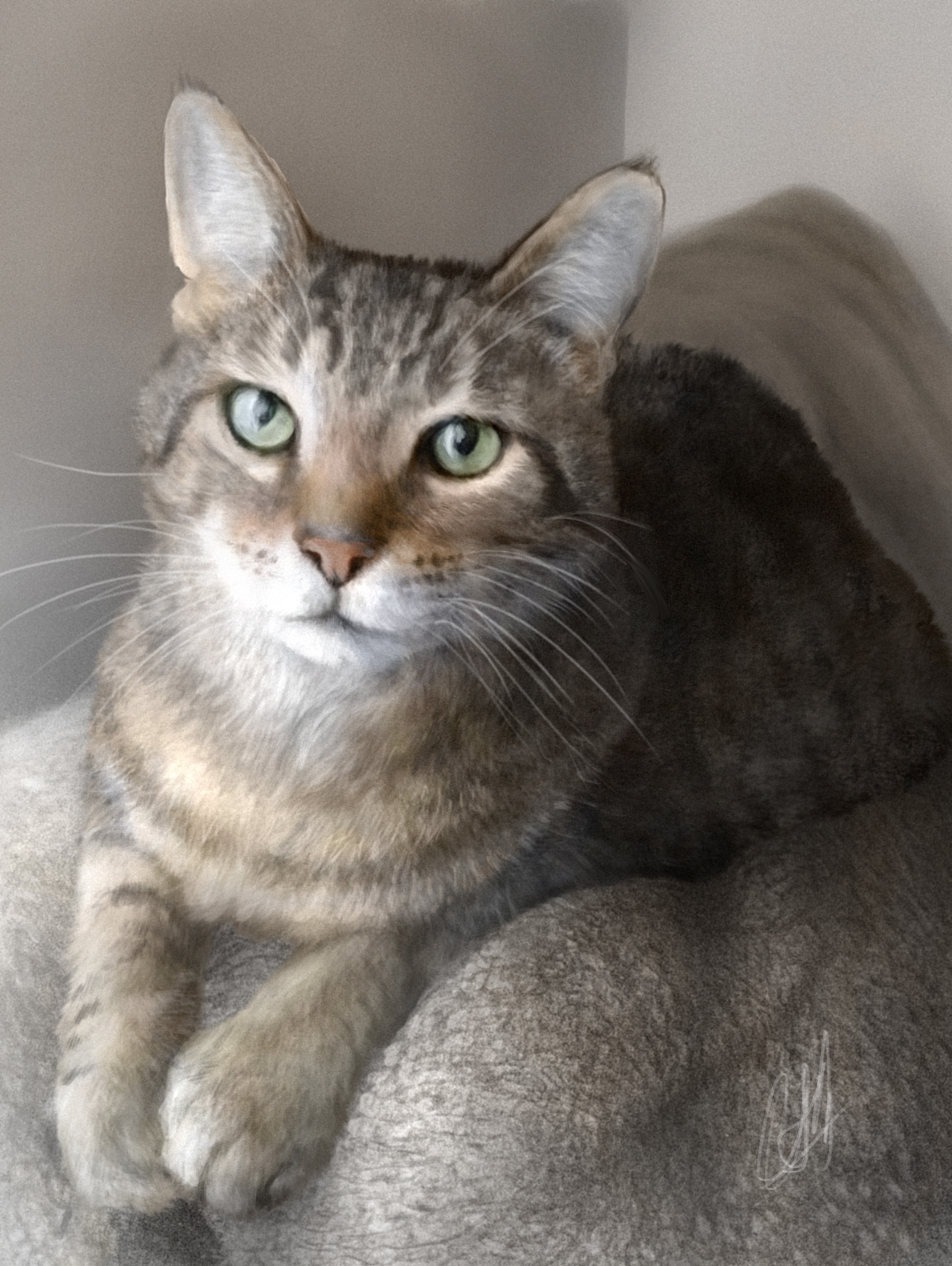 Artstation Photo Realism Exercise Digitally Painting A Cat