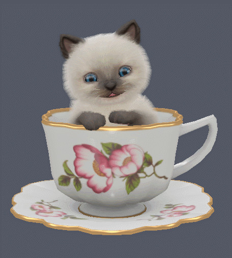 Ragdoll System Test