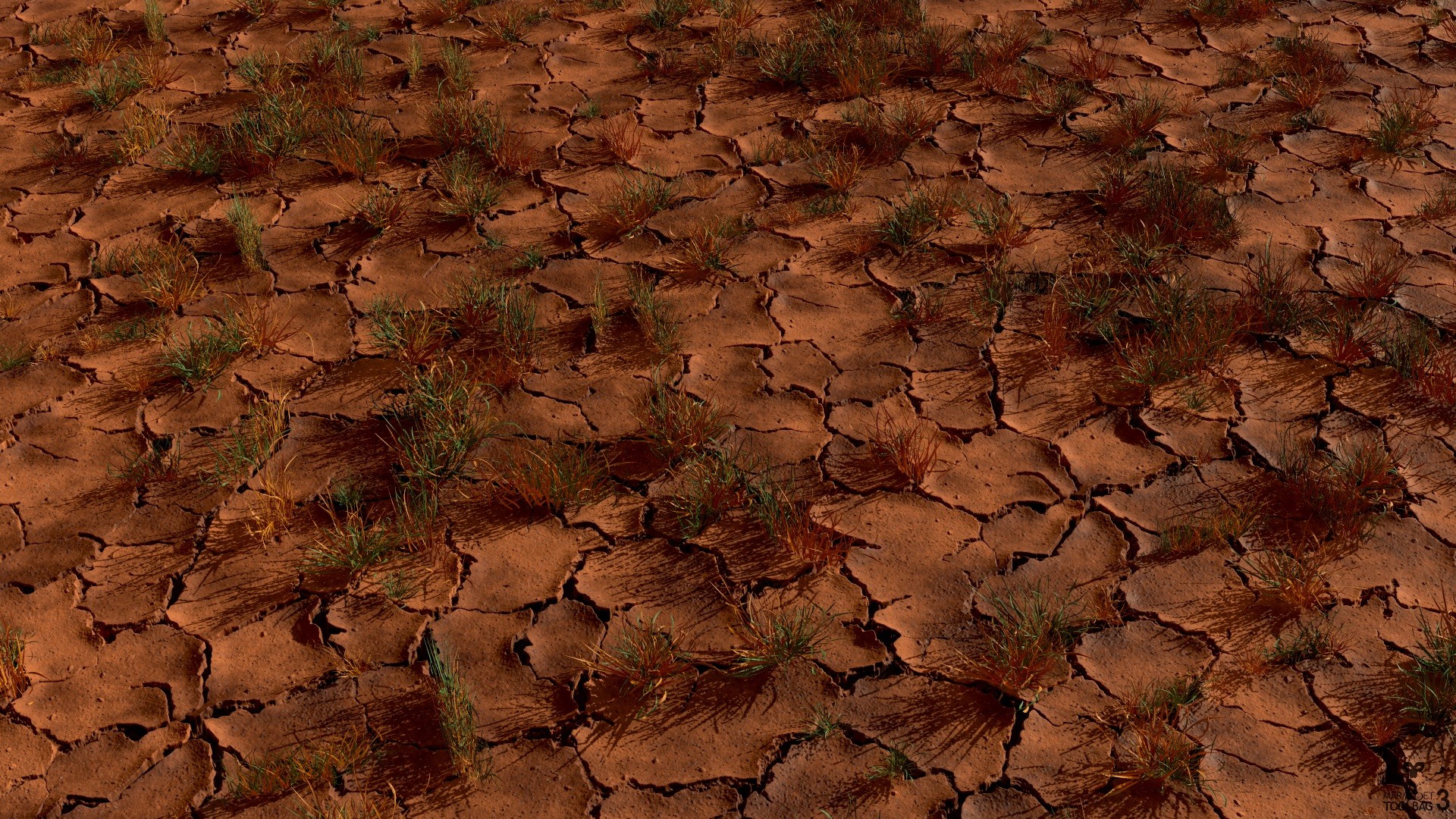 Samuel Flores Cracked Mud