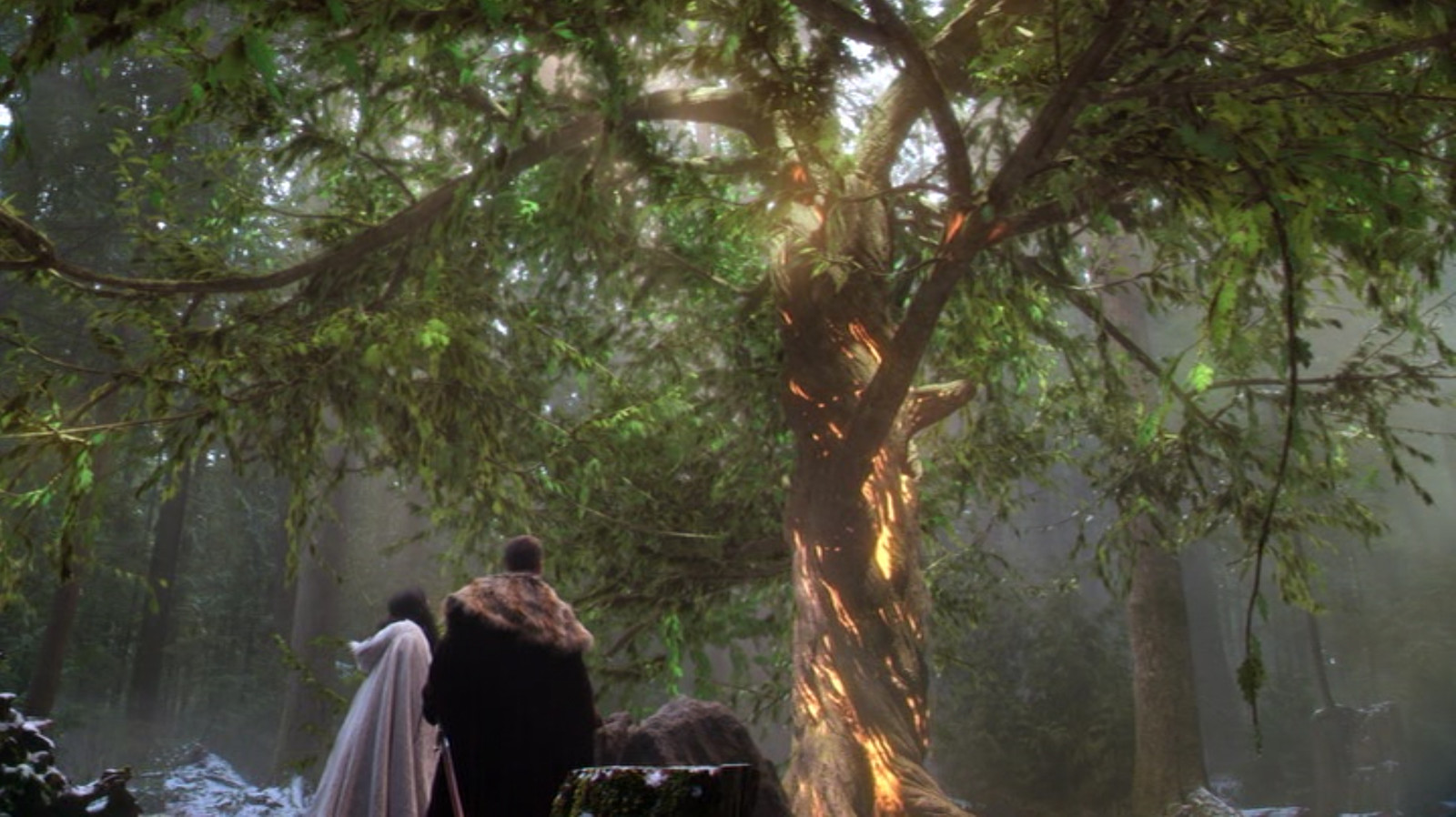 Tree of Wisdom Effect - Once Upon  a Time Season 4 - Final Shot by ZOIC Studios