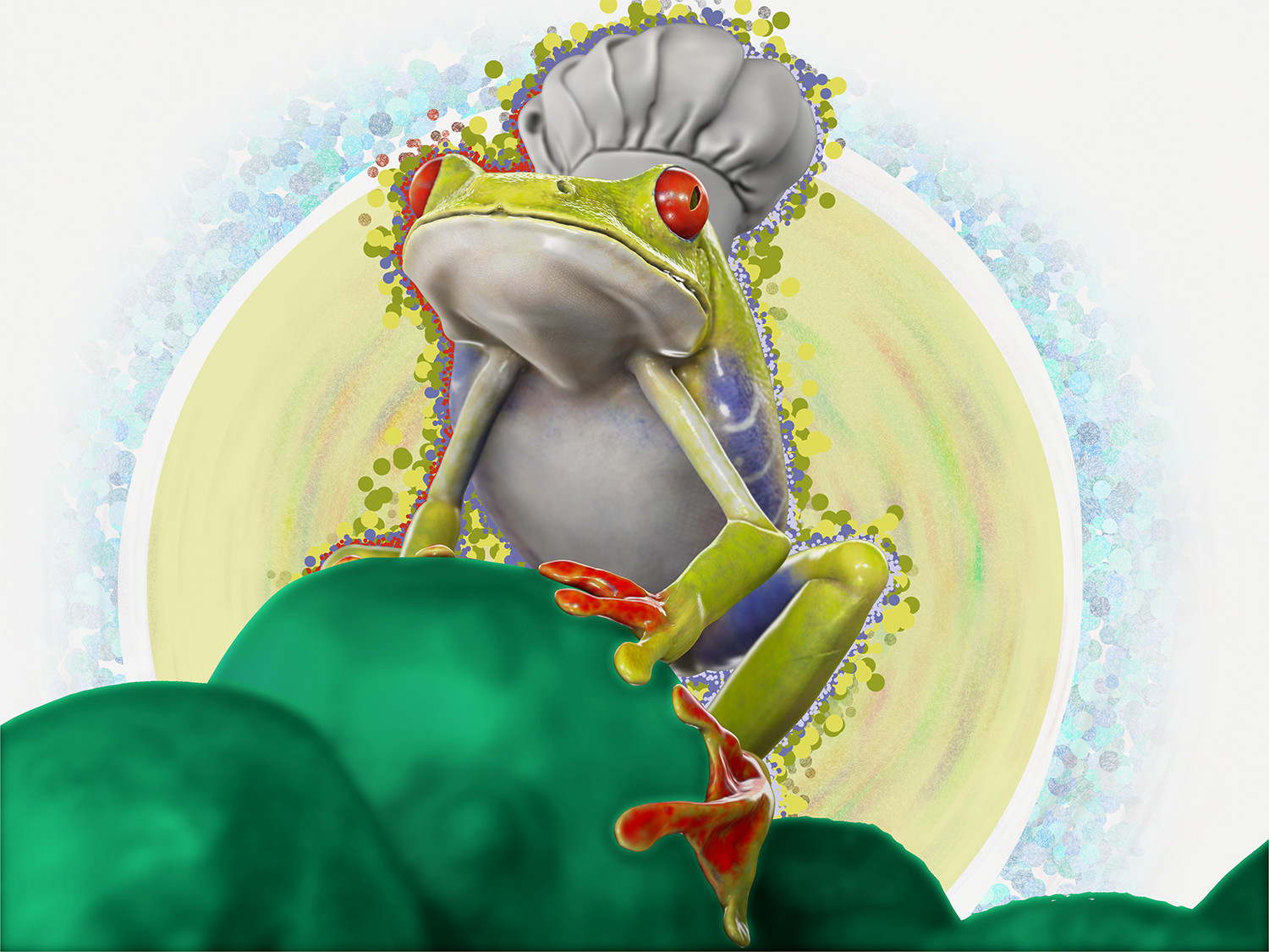 Freedom From Soup Closeup - Frog Chef