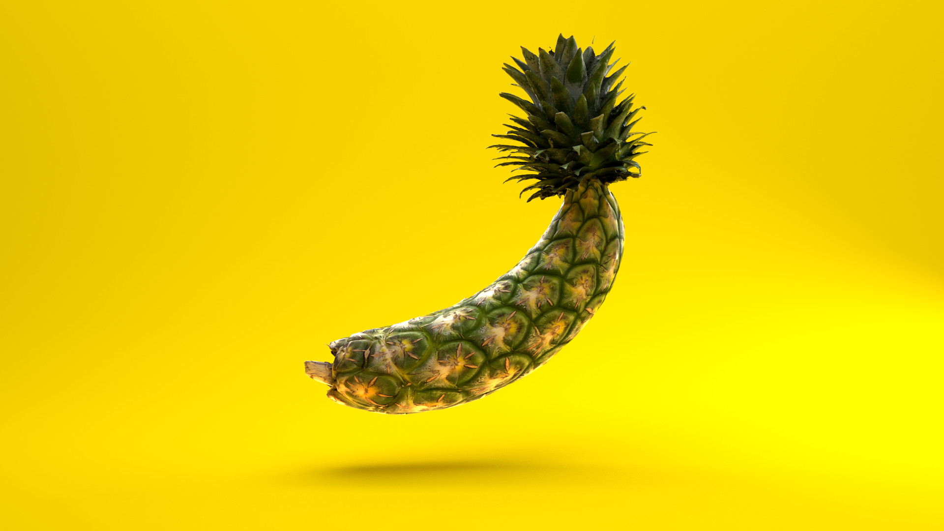 Did you know that in Dutch the word for 'pineapple' is 'anan...