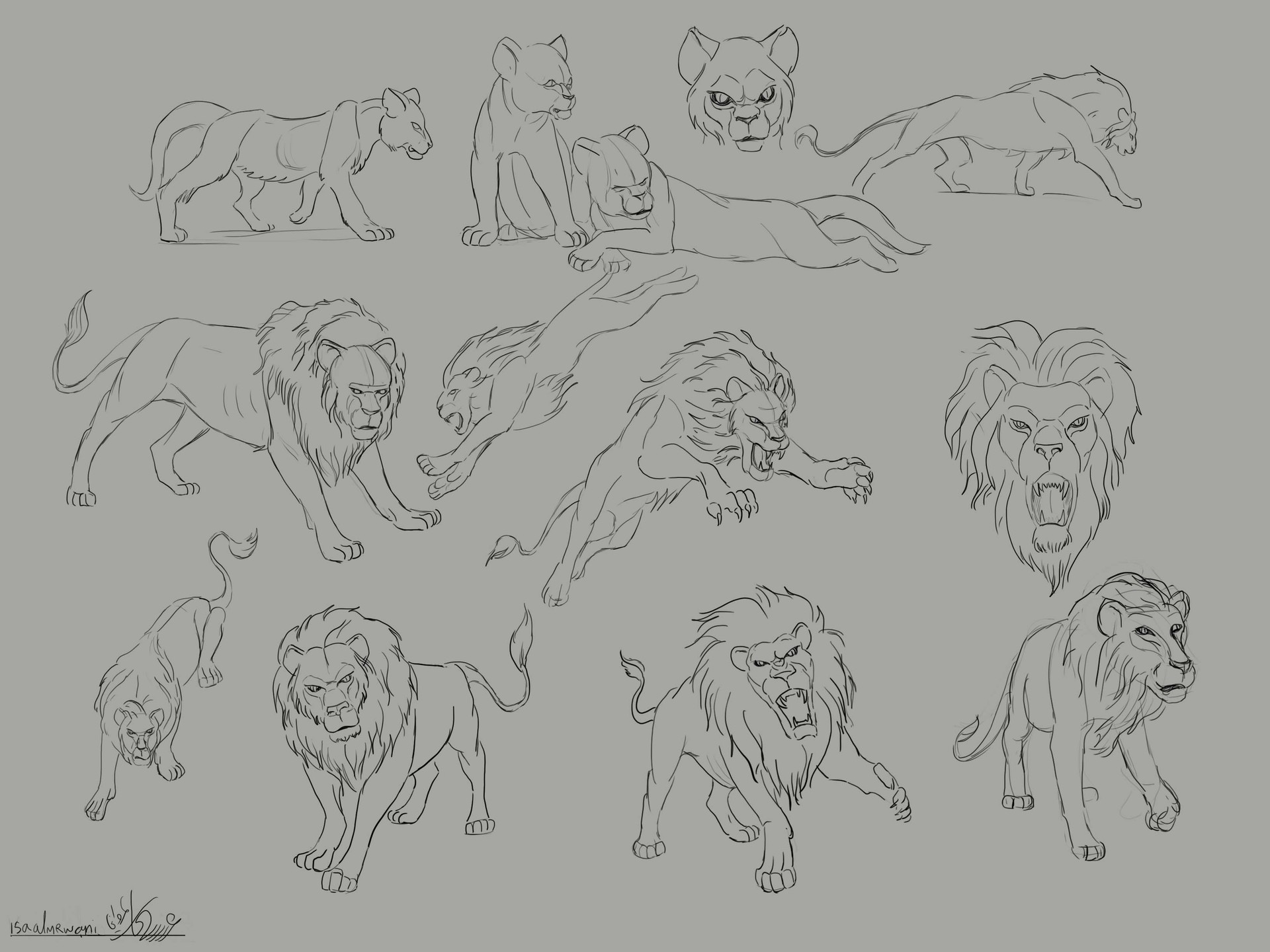 Isa Almrwani The Art Of Isa Almrwani Cat reference drawing reference poses drawing poses drawing ideas drawing tips animal sketches art drawings. isa almrwani the art of isa almrwani