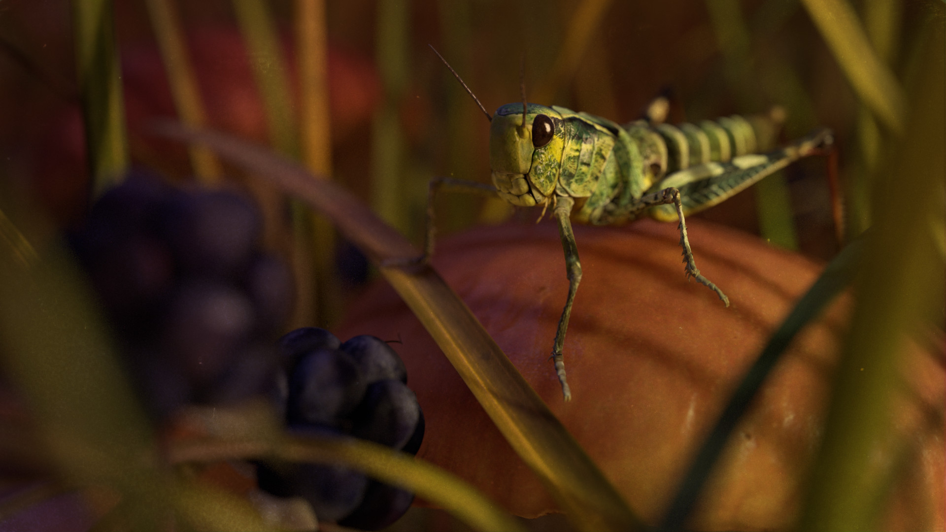 ArtStation - Grasshopper