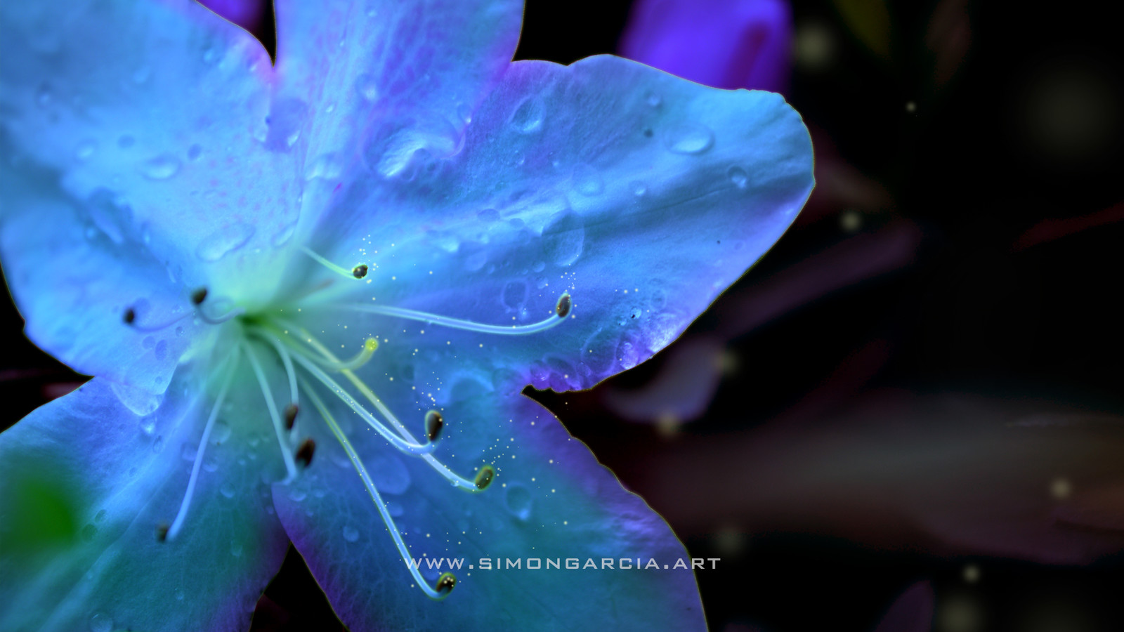 Surreal flower.