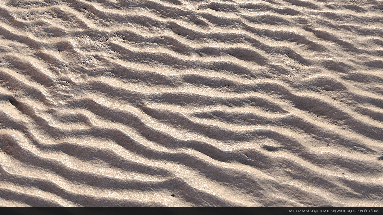 Detailed Sand Close Up View