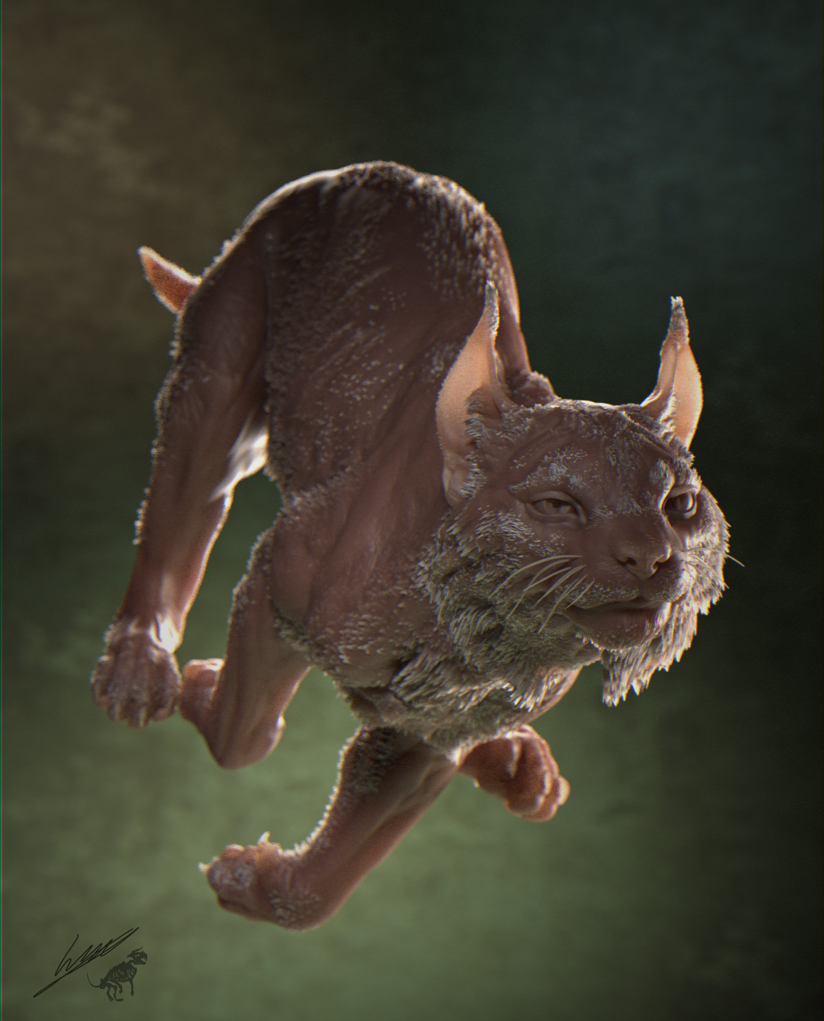 Lynx Pardinus anatomy study. Rendered in Maya and Arnold