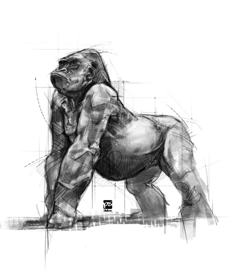 gorilla skull bear tiger gorilla skull bear tiger