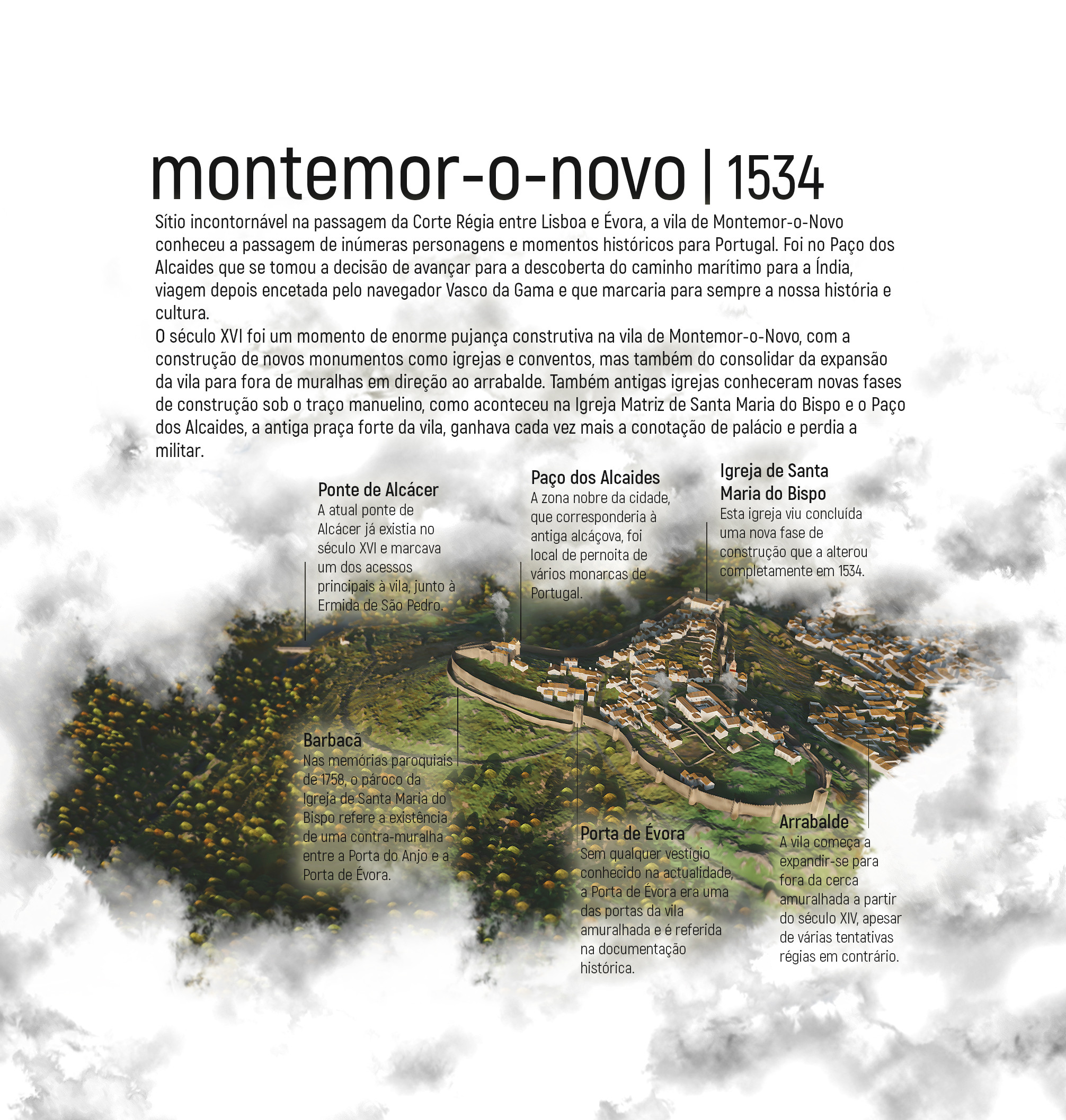 A infografia para a Morbase.