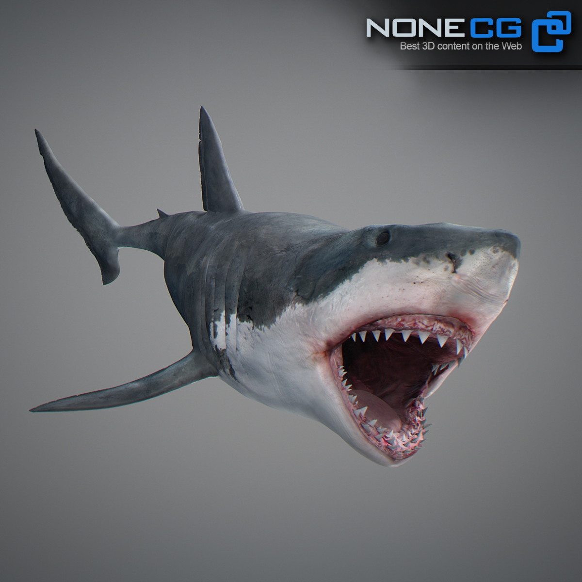 3D Great White Shark by NoneCG