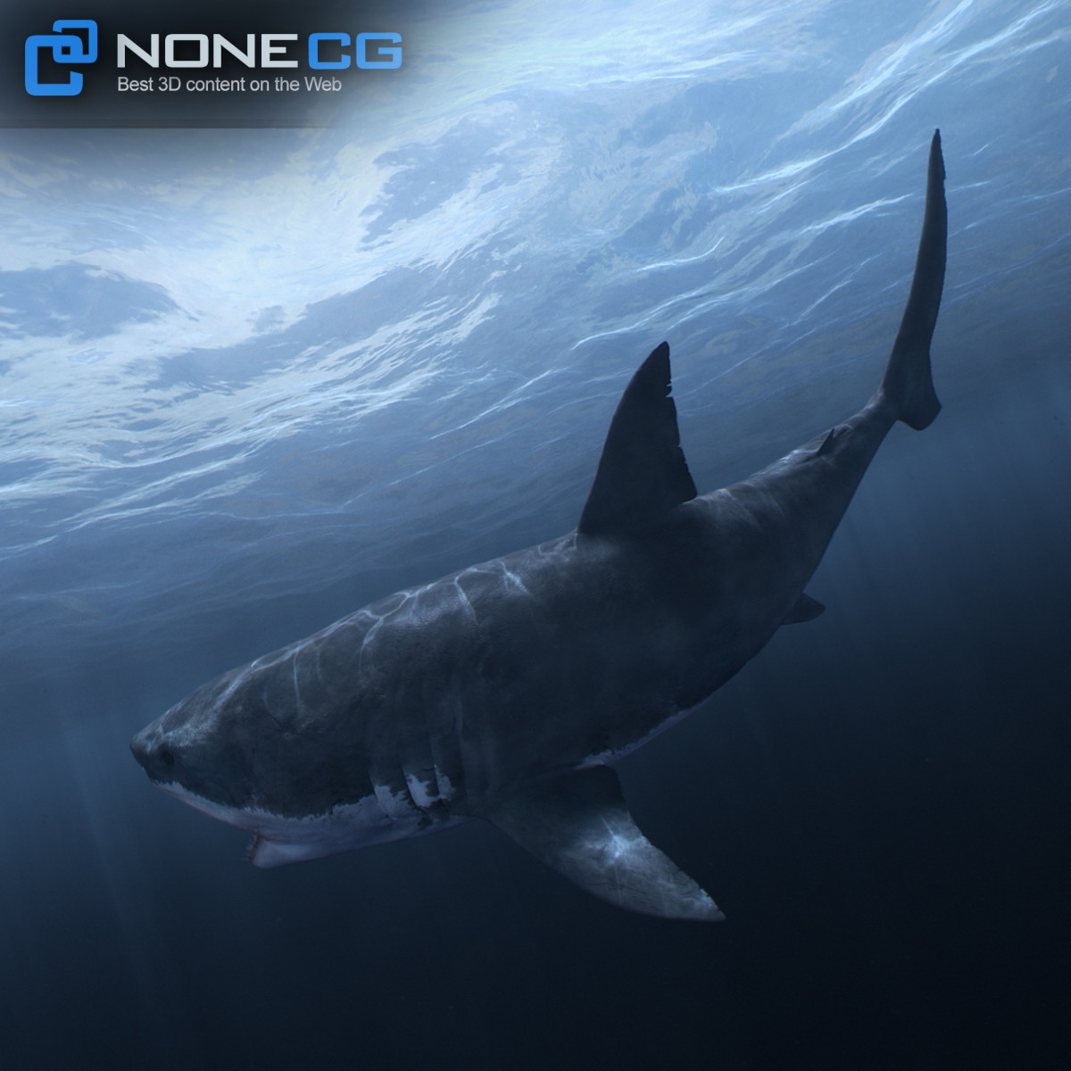 3D Great White Shark by NoneCG