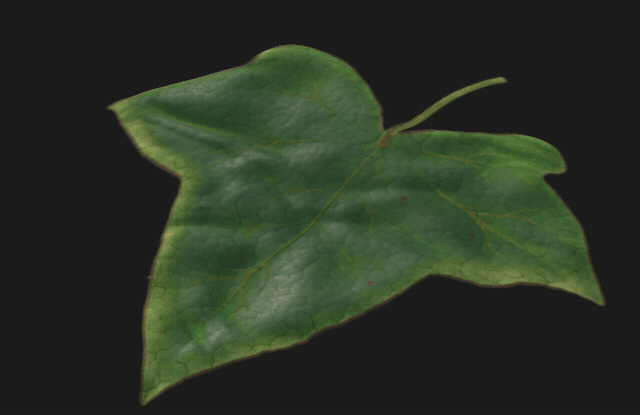 Leaf example -&gt; damage and condition